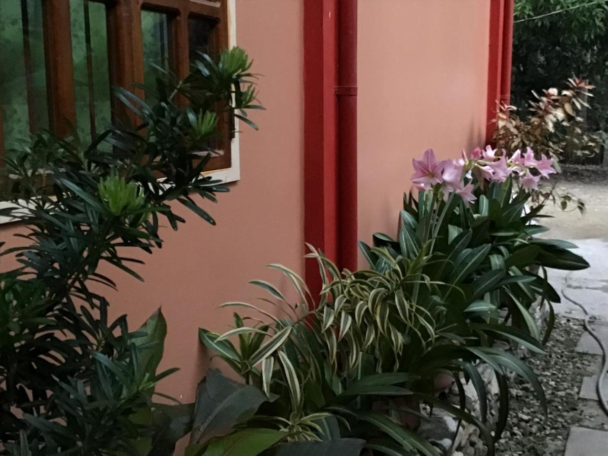Ferranco Tourist Inn サン・ヴィチェンテ エクステリア 写真